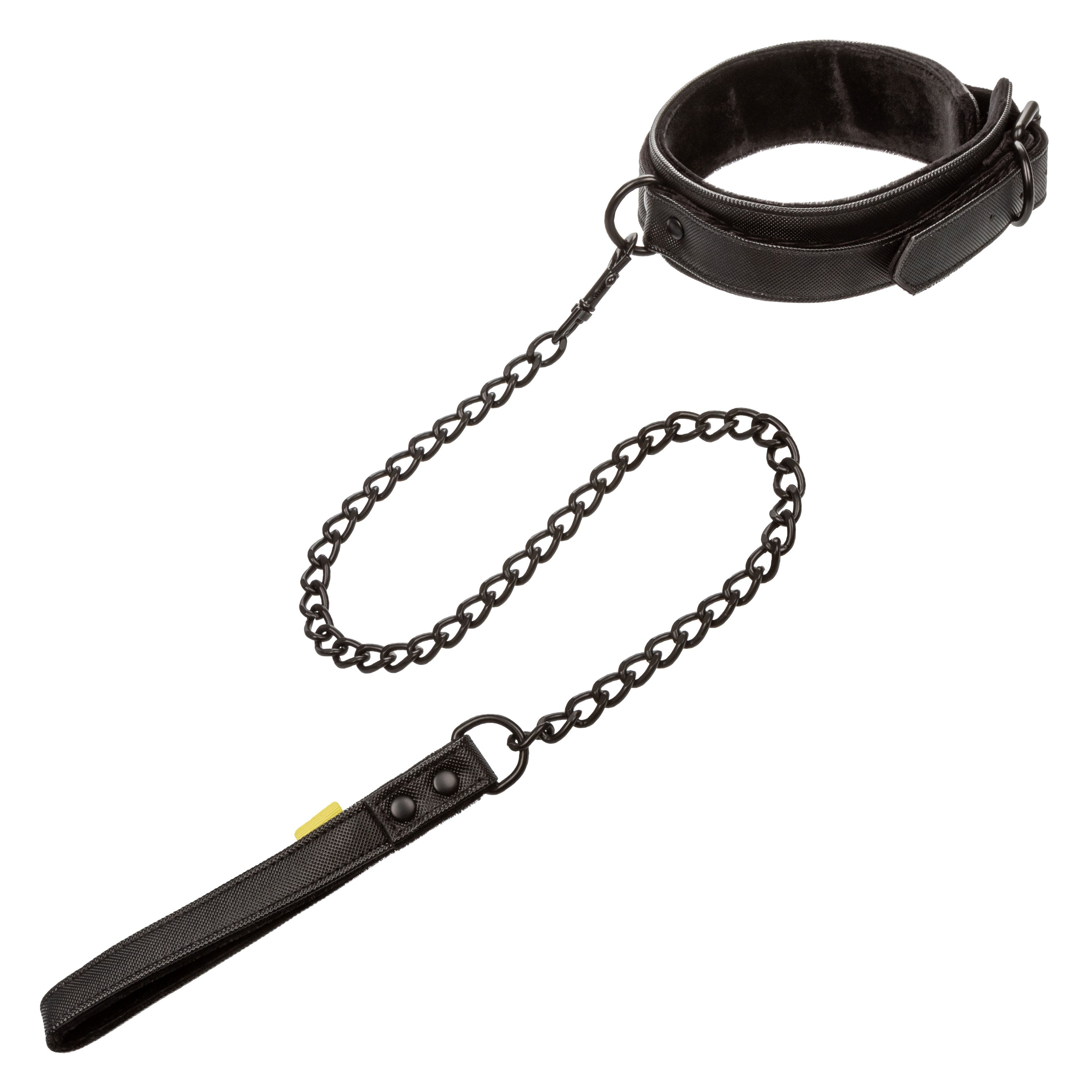 Boundless Collar & Leash SE2702403